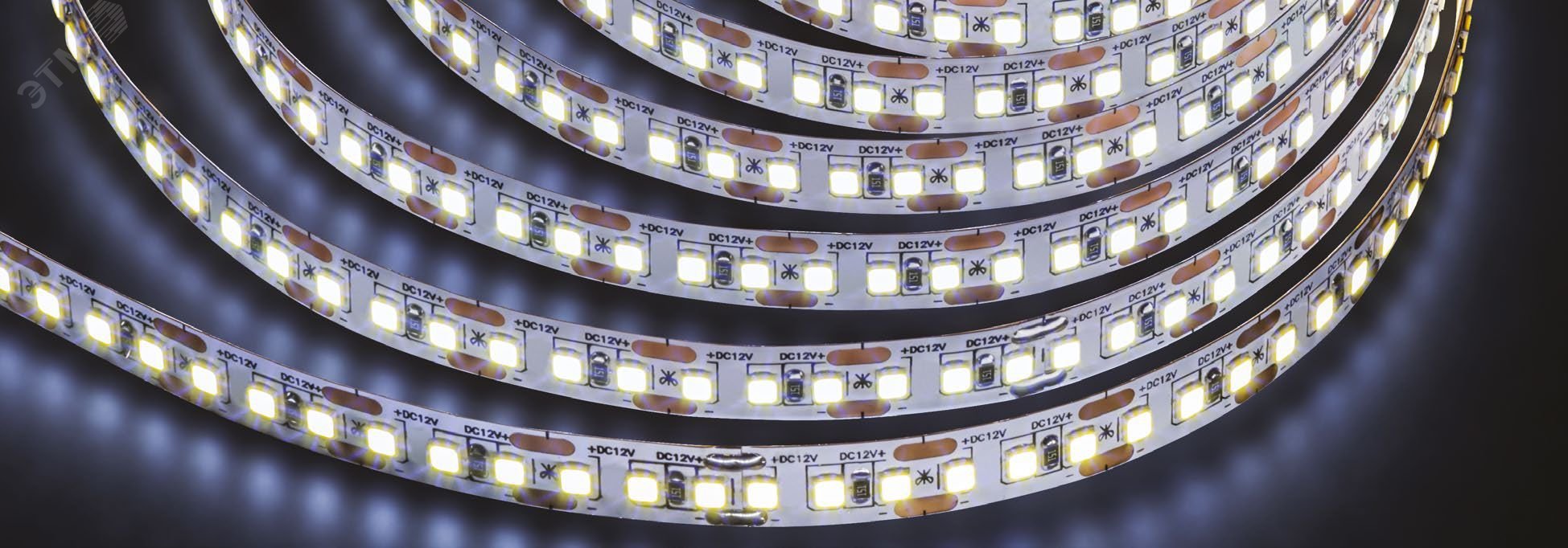 Изображение товара Лента светодиодная 9.6Вт/м 24В 6000К IP65 120LED/м ИСЛ-2835-CRI80 5м (м)