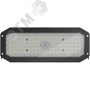 Прожектор светодиодный ДО-01-С-75-5К-D40X125 - фото 2