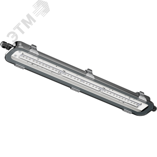 Светильник светодиодный ДСП-103-20-С-30-600-5К-IP67 - фото 1