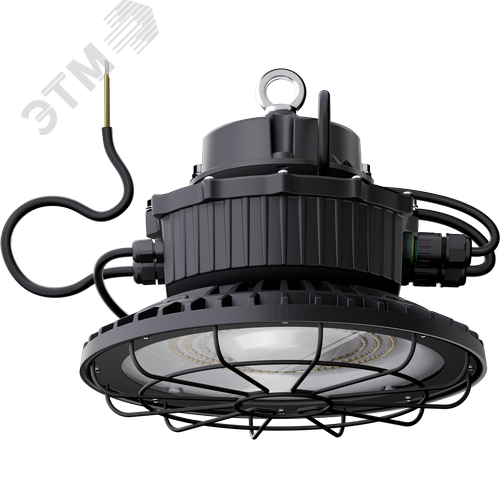 Светильник светодиодный ДСП-113-01-СР-100-3К-D60-А1 - фото 4