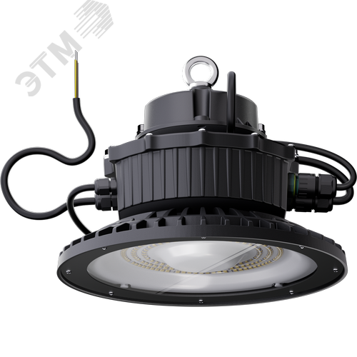 Светильник светодиодный ДСП-113-01-С-100-5К-D60-А1 - фото 4