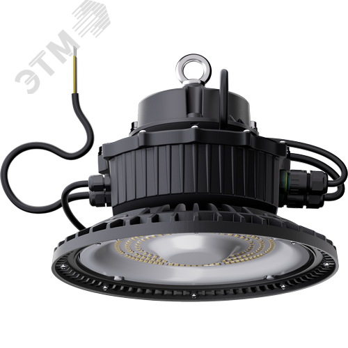 Светильник светодиодный ДСП-113-01-50-3К-D60-А1 - фото 4