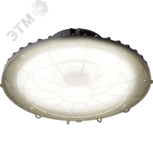 Светильник светодиодный ДСП-113-01-СР-50-3К-D120-А1 - фото 2