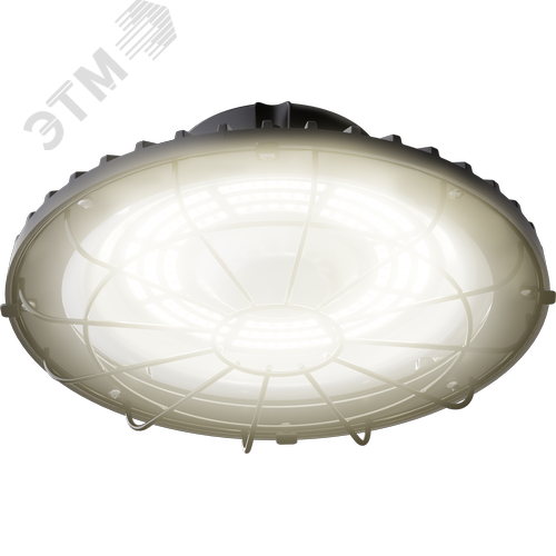 Светильник светодиодный ДСП-113-01-СР-50-3К-D90 - фото 2