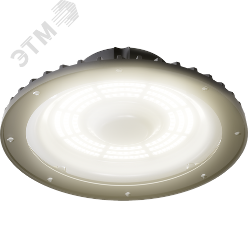 Светильник светодиодный ДСП-113-01-С-100-5К-D60-А1 - фото 2