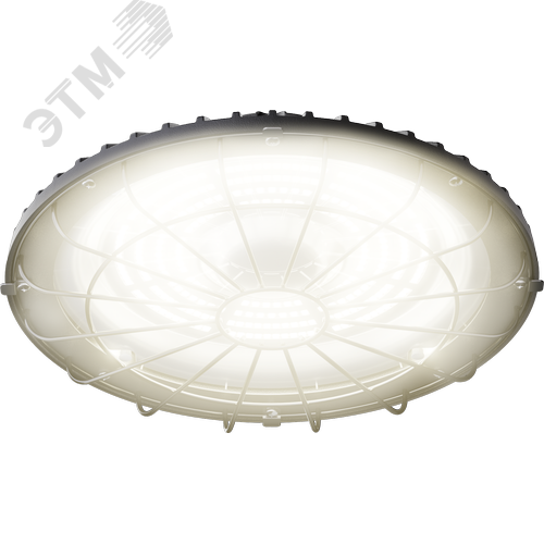 Светильник светодиодный ДСП-113-02-СР-150-4К-D120-А1 - фото 2