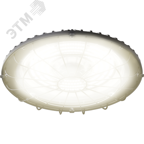 Светильник светодиодный ДСП-113-02-СР-160-4К-D60 - фото 2