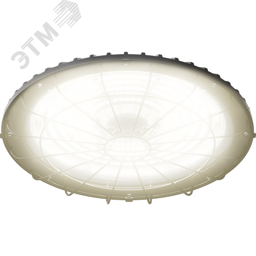 Светильник светодиодный ДСП-113-03-СР-200-5К-D90-А1 - фото 2