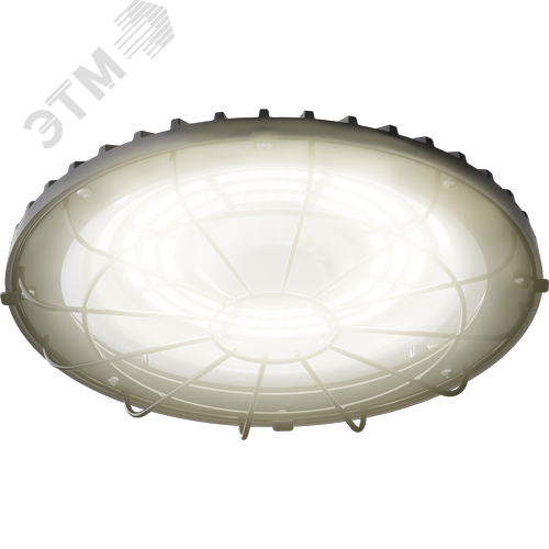 Светильник светодиодный ДСП-114-01-СР-100-4К-D60 - фото 2