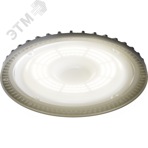 Светильник светодиодный ДСП-114-01-100-5К-D60 - фото 2