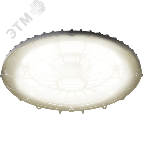 Светильник светодиодный ДСП-114-02-СР-150-5К-D90 - фото 2