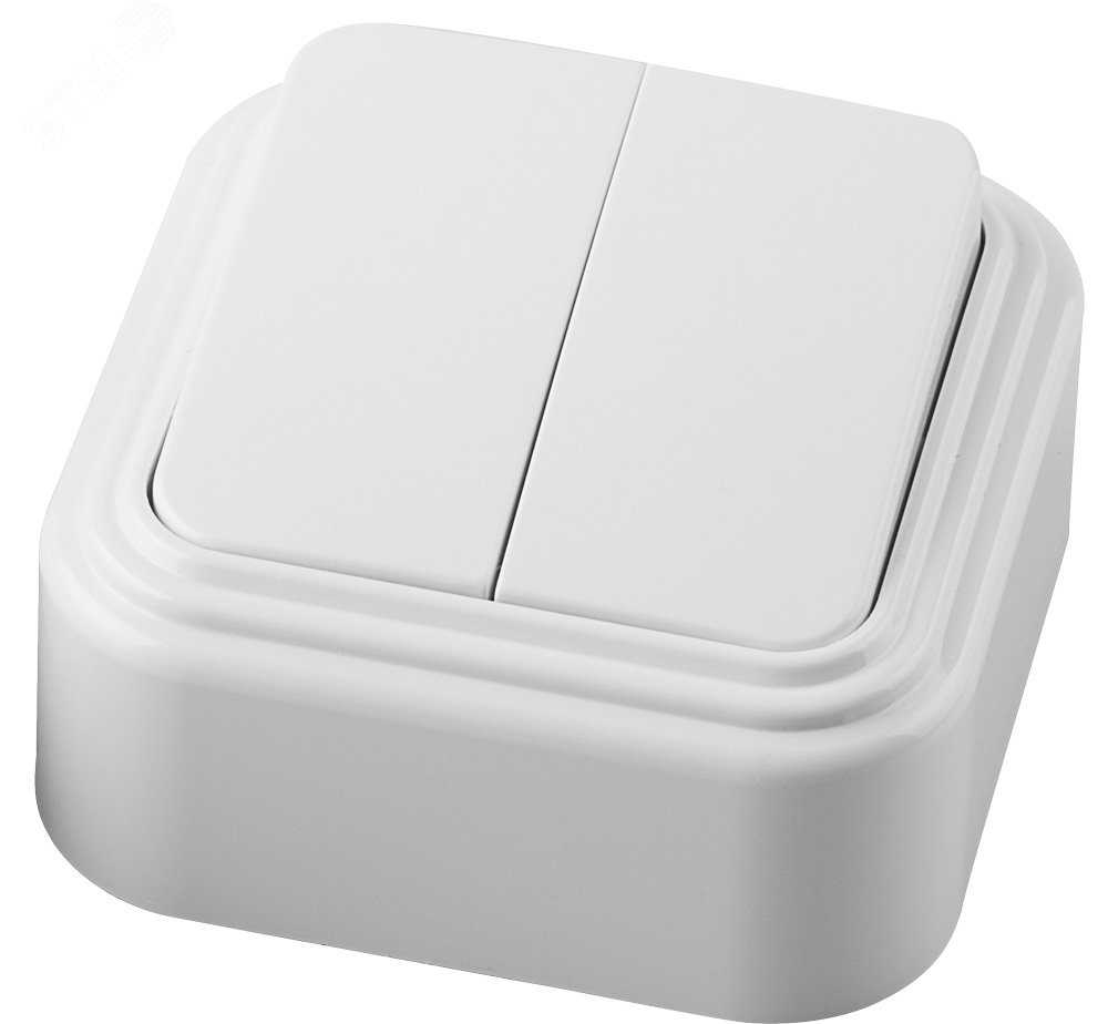 Изображение товара Выключатель двухклавишный открытой установки 220В 6А IP20 белый серия Брест от STEKKER