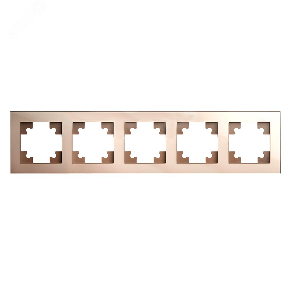 Изображение товара Горизонтальная 5-местная рамка Катрин Шампань от Stekker стильное решение