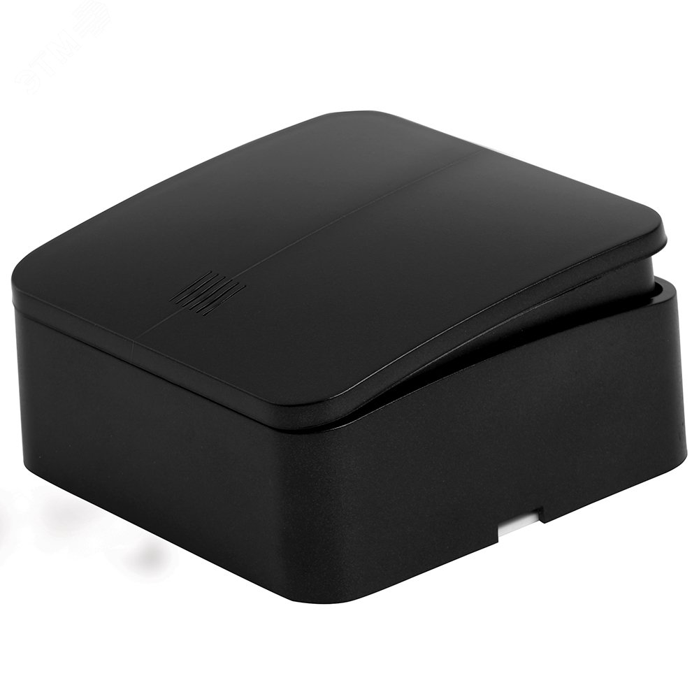 Изображение товара Двухклавишный выключатель с индикатором 250В IP20 серия София Stekker черный матовый