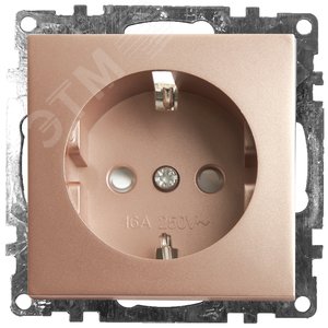 Изображение товара Розетка 1-местная с/з, шампань (шт)