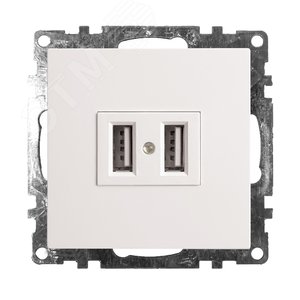 Изображение товара Розетка 2-местная USB (механизм), 250B, 2,4А, серия Катрин, белый Stekker (шт)