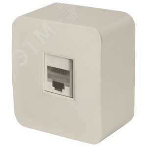Изображение товара Розетка компьютерная одноместная RJ-45 серия София слоновая кость STEKKER (шт)
