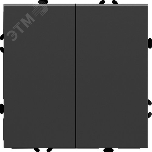 Изображение товара Выключатель 2-клавишный (механизм) 250В, 10А, серия Эмили, черный уголь, soft touch (шт)