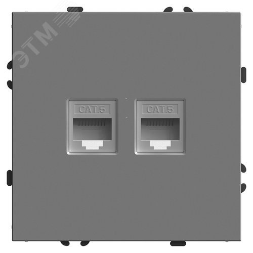 Изображение товара Розетка компьютерная 2-местная RJ-45 (механизм), серия Эмили платиново-серый soft touch STEKKER (шт)