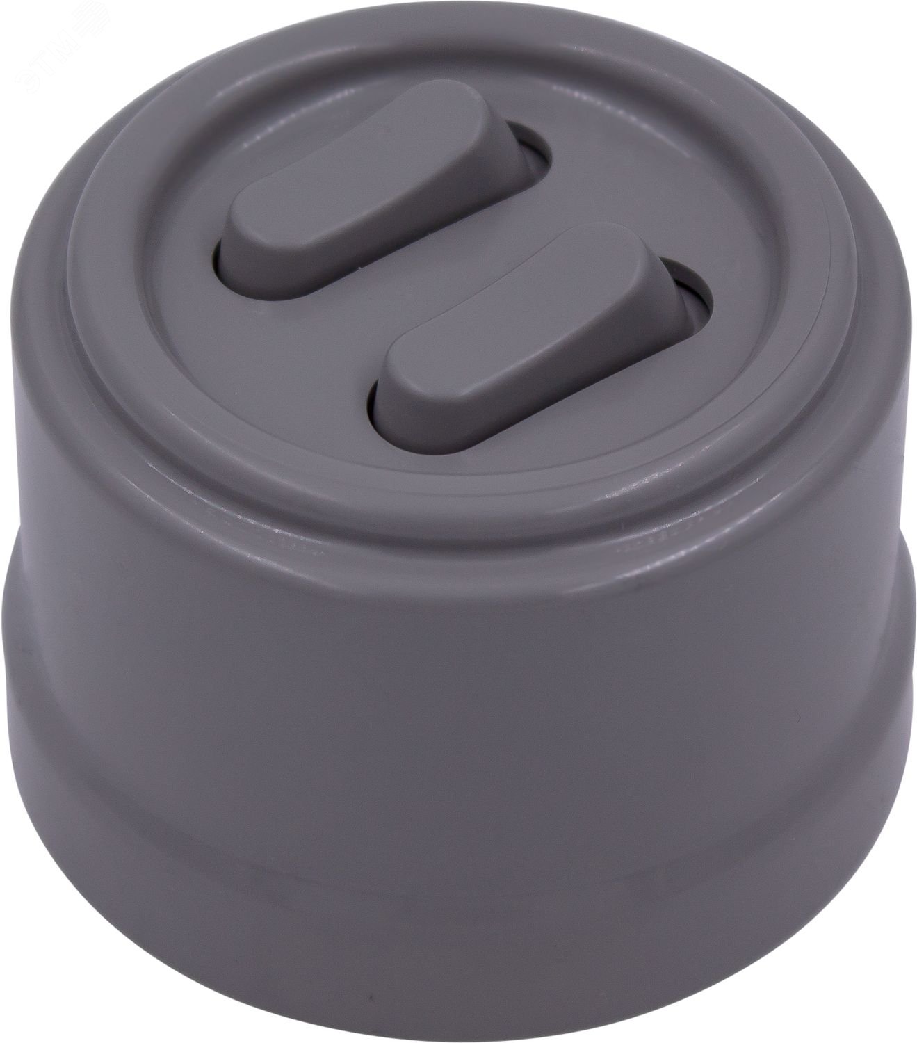 Изображение товара Выключатель Лизетта 2-кл пластиковый Титан монтаж наружный IP 20