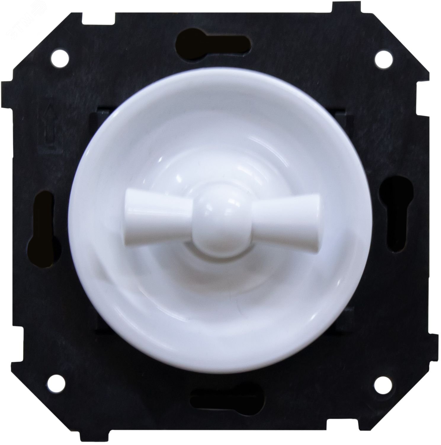 Изображение товара Выключатель Шедель 2-кл. скрытый монтаж Белый Bironi