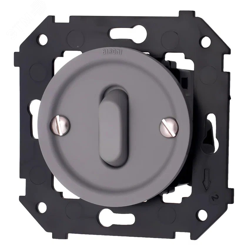 Изображение товара Выключатель 1-кл проходной пластиковый Титан матовый Bironi