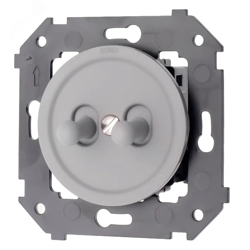 Изображение товара Двухтумблерный выключатель Bironi, пластик, Титан матовый, 2 клавиши, IP20