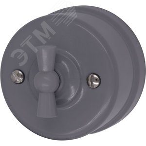 Изображение товара Выключатель Лизетта 1-кл. проходной, пластик, цвет Титан (шт)