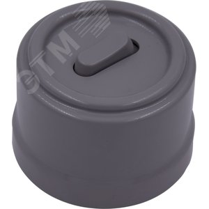 Изображение товара Выключатель Лизетта 1-кл. перекрестный, пластик, цвет Титан (клавишный) (шт)