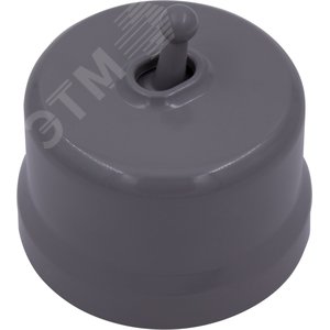 Изображение товара Выключатель Лизетта 1-кл., пластик, цвет Титан (тумблерный) (шт)