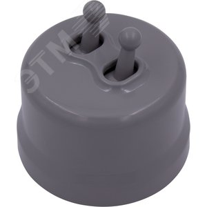 Изображение товара Выключатель Лизетта 2-кл., пластик, цвет Титан (тумблерный) (шт)