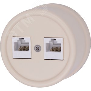 Изображение товара Розетка Лизетта RJ45 информационная двойная, пластик, цвет Песочное золото (шт)