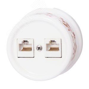 Изображение товара Розетка Лизетта RJ45 информационная двойная, керамика, цвет белый, декор D6/2 (шт)
