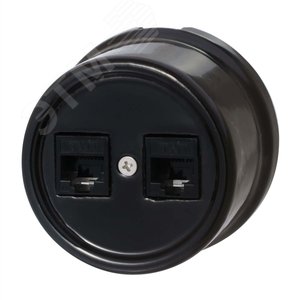 Изображение товара Розетка Лизетта RJ45 информационная двойная, керамика, цвет черный (шт)