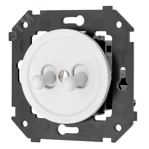 Изображение товара Кнопка (двухтумблерная), пластик, цвет Белый матовый (шт)