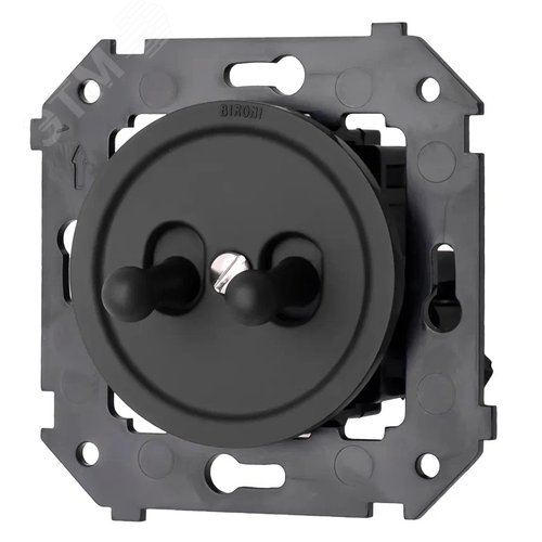 Изображение товара Кнопка (двухтумблерная), пластик, цвет Черный матовый (шт)