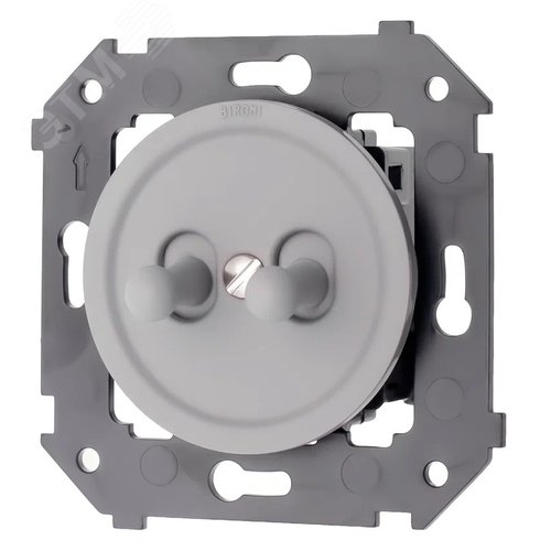 Изображение товара Кнопка (двухтумблерная), пластик, цвет Титан матовый (шт)