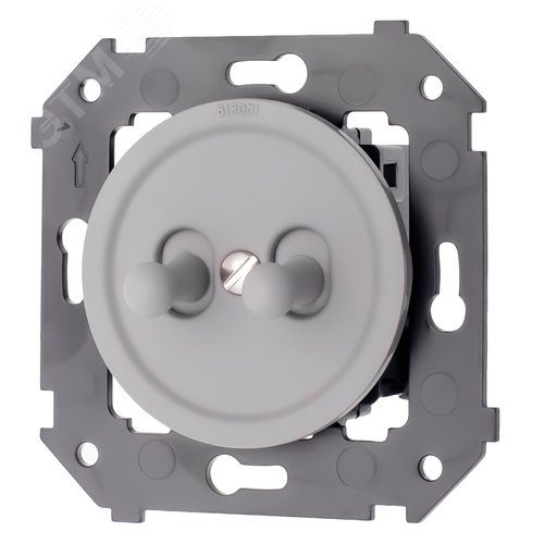 Изображение товара Выключатель 2-кл., пластик, цвет Титан матовый (тумблерный) (шт)