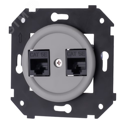 Изображение товара Розетка двойная компьютерная механизм+ накладка, цвет Титан матовый с/у (шт)