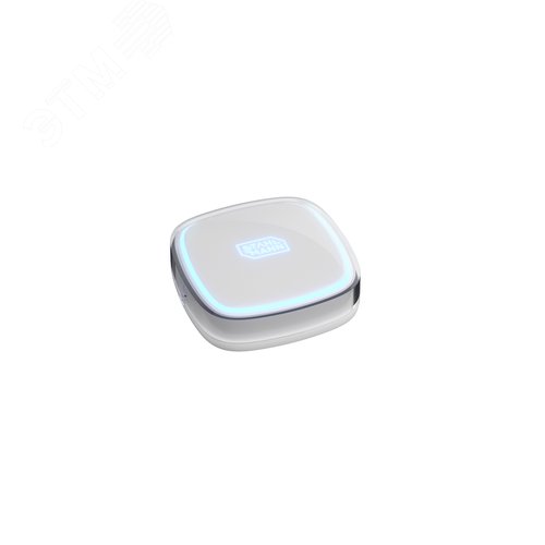 Датчик протечки воды R868 - фото 1