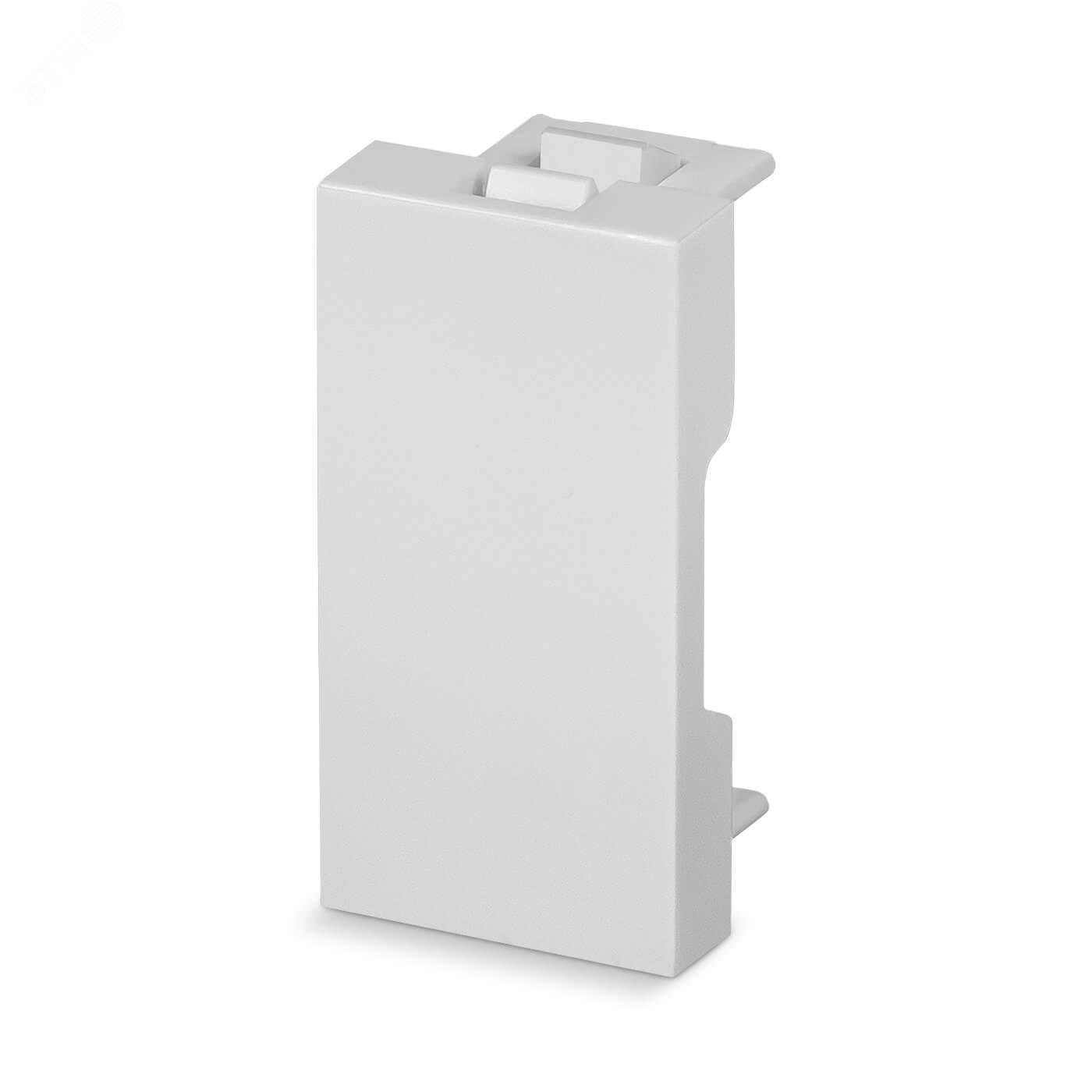 Изображение товара Вставка-заглушка формата Mosaic 45x22,5 (мм) (шт)