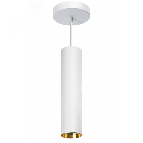 Изображение товара Умный белый подвесной спот Interior Light-ZSSLW для освещения