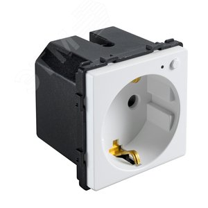 Изображение товара Розетка в рамку умная белая (47х47мм) (шт)