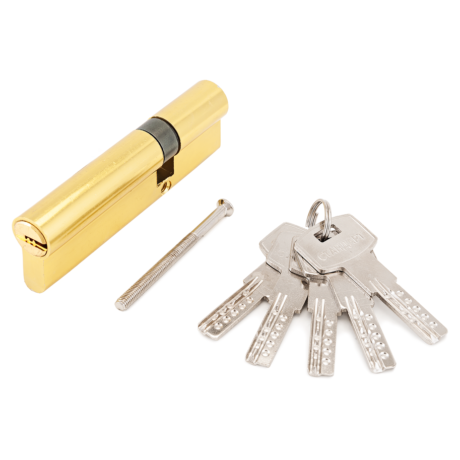 Механизм цилиндровый для врезных замков, Стандарт F-01 100(30х10х60) GP золото