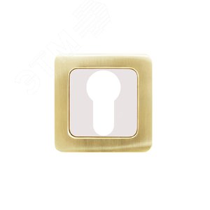 Изображение товара Накладка декоративная (комплект) под цилиндровый механизм замка, АЛЛЮР АРТ ET-S1 SB/PB (4276) золото матовое (шт)