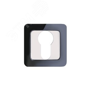 Изображение товара Накладка декоративная (комплект) под цилиндровый механизм замка, АЛЛЮР АРТ ET-S1 BN/CP (42102) черный никель (шт)