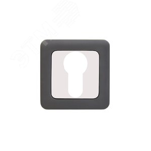 Изображение товара Накладка декоративная (комплект) под цилиндровый механизм замка, АЛЛЮР АРТ ET-S1 MBN/CP (4242) графит (шт)