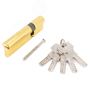 Изображение товара Механизм цилиндровый для врезных замков, Стандарт F-01 100(30х10х60) GP золото (шт)