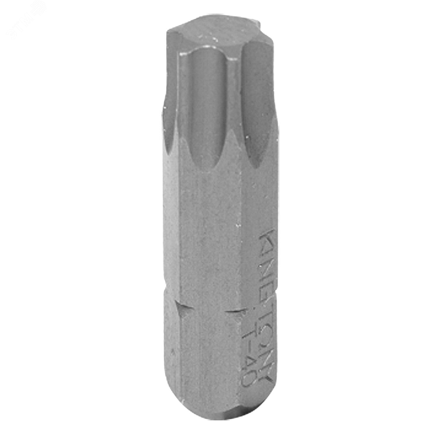 Изображение товара Вставка (бита) торцевая 1/4', TORX, T40, L = 25 мм (шт)