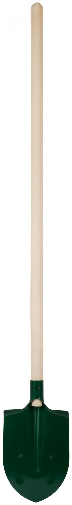 Лопата штыковая с ребрами жесткости, с деревянным черенком 190х350х1420 мм 77212 КУРС РОС - превью 5